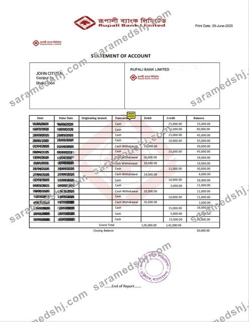Bangladesh Rupali Bank statement of account Word and PDF template